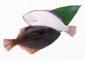 新宿で絶品の牡蠣とイタリアンを堪能できる「Oyster Bar ジャックポット新宿」の魅力